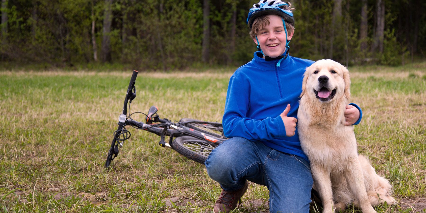 Essential Equipment for a Successful Bikejoring Adventure